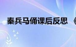 秦兵马俑课后反思 《秦兵马俑》教学反思