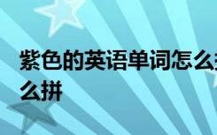 紫色的英语单词怎么拼读? 紫色的英文单词怎么拼