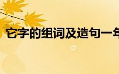 它字的组词及造句一年级 它字的组词及造句