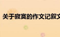 关于寂寞的作文记叙文 记叙作文习惯了寂寞