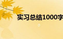 实习总结1000字 计算机实习总结