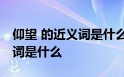 仰望 的近义词是什么词 仰望的近义词与反义词是什么