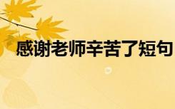 感谢老师辛苦了短句 感谢辛苦老师的话语