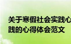 关于寒假社会实践心得体会十篇 寒假社会实践的心得体会范文