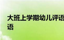 大班上学期幼儿评语大全 大班上学期幼儿评语