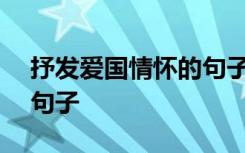 抒发爱国情怀的句子100字 抒发爱国情怀的句子