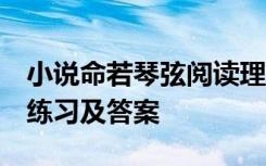 小说命若琴弦阅读理解 命若琴弦 现代文阅读练习及答案