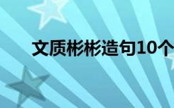 文质彬彬造句10个字 文质彬彬造句的