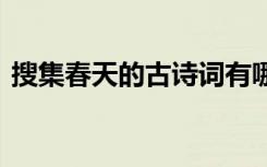 搜集春天的古诗词有哪些 搜集于春天的古诗