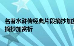 名著水浒传经典片段摘抄加赏析读后感 名著水浒传经典片段摘抄加赏析