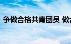 争做合格共青团员 做合格共青团员征文优秀