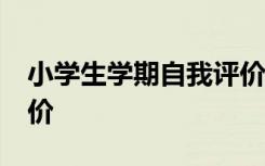 小学生学期自我评价20字 小学生学期自我评价