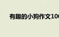 有趣的小狗作文100字 小狗作文100字