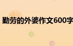 勤劳的外婆作文600字作文 作文-辛勤的外婆