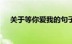 关于等你爱我的句子 等我爱你经典散文