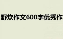 野炊作文600字优秀作文初中 野炊作文600字