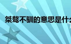 桀骜不驯的意思是什么? 桀骜不驯怎么读音