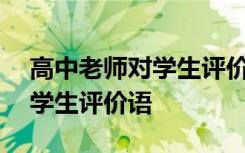 高中老师对学生评价100字左右 高中老师对学生评价语