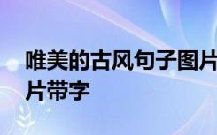 唯美的古风句子图片带字 唯美古风句子和图片带字