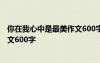 你在我心中是最美作文600字环卫工人 你在我心中是最美作文600字