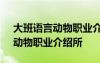 大班语言动物职业介绍所评课稿 大班语言：动物职业介绍所