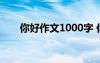 你好作文1000字 你好！作文1500字