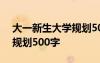 大一新生大学规划500字护理 大一新生大学规划500字