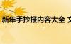 新年手抄报内容大全 文字 新年手抄小报内容