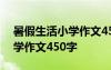 暑假生活小学作文450字怎么写 暑假生活小学作文450字