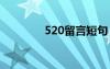 520留言短句 520说说留言