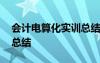 会计电算化实训总结和心得 会计电算化实训总结