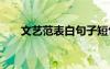 文艺范表白句子短句 文艺表白的句子