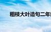 粗枝大叶造句二年级 用粗枝大叶造句