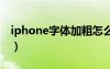 iphone字体加粗怎么设置的（iphone4字体）