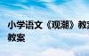 小学语文《观潮》教案设计 小学语文《观潮》教案