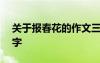 关于报春花的作文三百字左右 报春作文600字