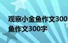 观察小金鱼作文300字左右三年级 观察小金鱼作文300字