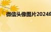 微信头像图片2024年新款 微信头像图片