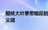 粗枝大叶意思相反的成语是什么 粗枝大叶反义词