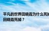 平凡的世界田晓霞为什么死掉了 《平凡的世界》里为什么让田晓霞死掉？