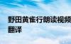 野田黄雀行朗读视频 《野田黄雀行》原文及翻译