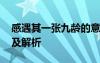 感遇其一张九龄的意思 感遇其一张九龄原文及解析