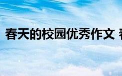 春天的校园优秀作文 春天的校园小学生作文