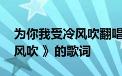 为你我受冷风吹翻唱最震撼的 《为你我受冷风吹 》的歌词