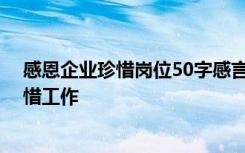 感恩企业珍惜岗位50字感言 感恩企业演讲稿：珍惜企业珍惜工作