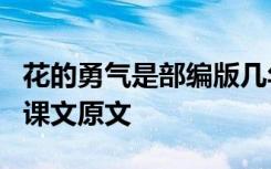 花的勇气是部编版几年级的课文 《花的勇气》课文原文