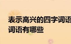 表示高兴的四字词语是什么 表示高兴的四字词语有哪些