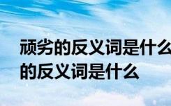 顽劣的反义词是什么词神机妙算的意思 顽劣的反义词是什么