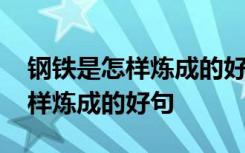 钢铁是怎样炼成的好句摘抄第一章 钢铁是怎样炼成的好句