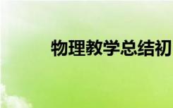 物理教学总结初中 物理教学总结